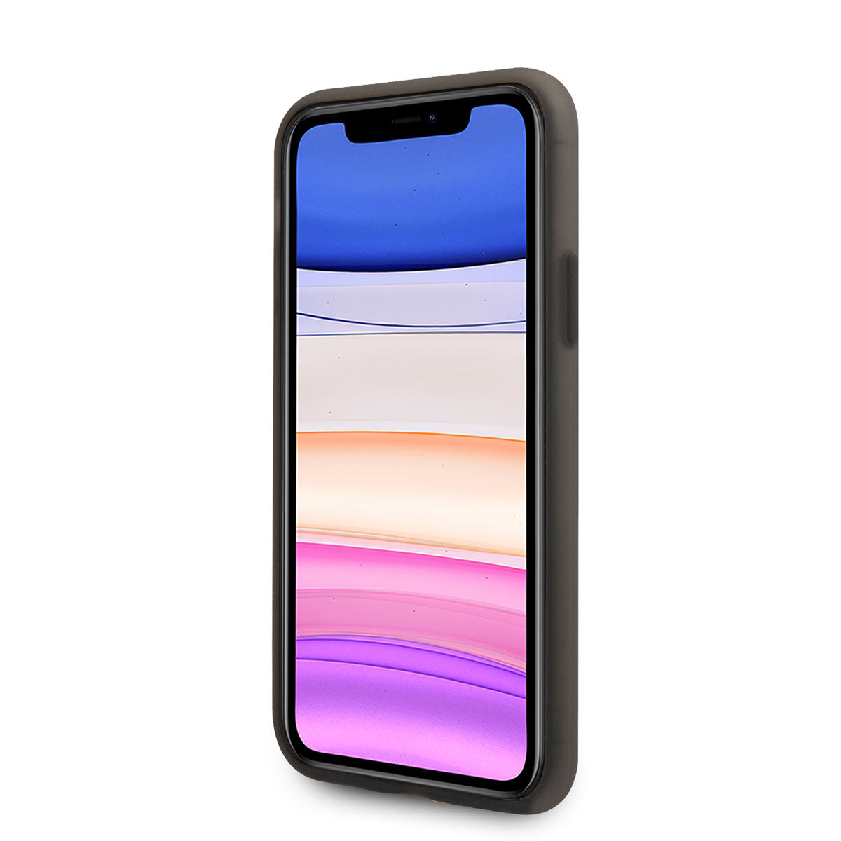 iPhone 11 Kılıf U.S. POLO ASSN. Transparan Silikon Büyük Logo Dizayn Kılıf Siyah