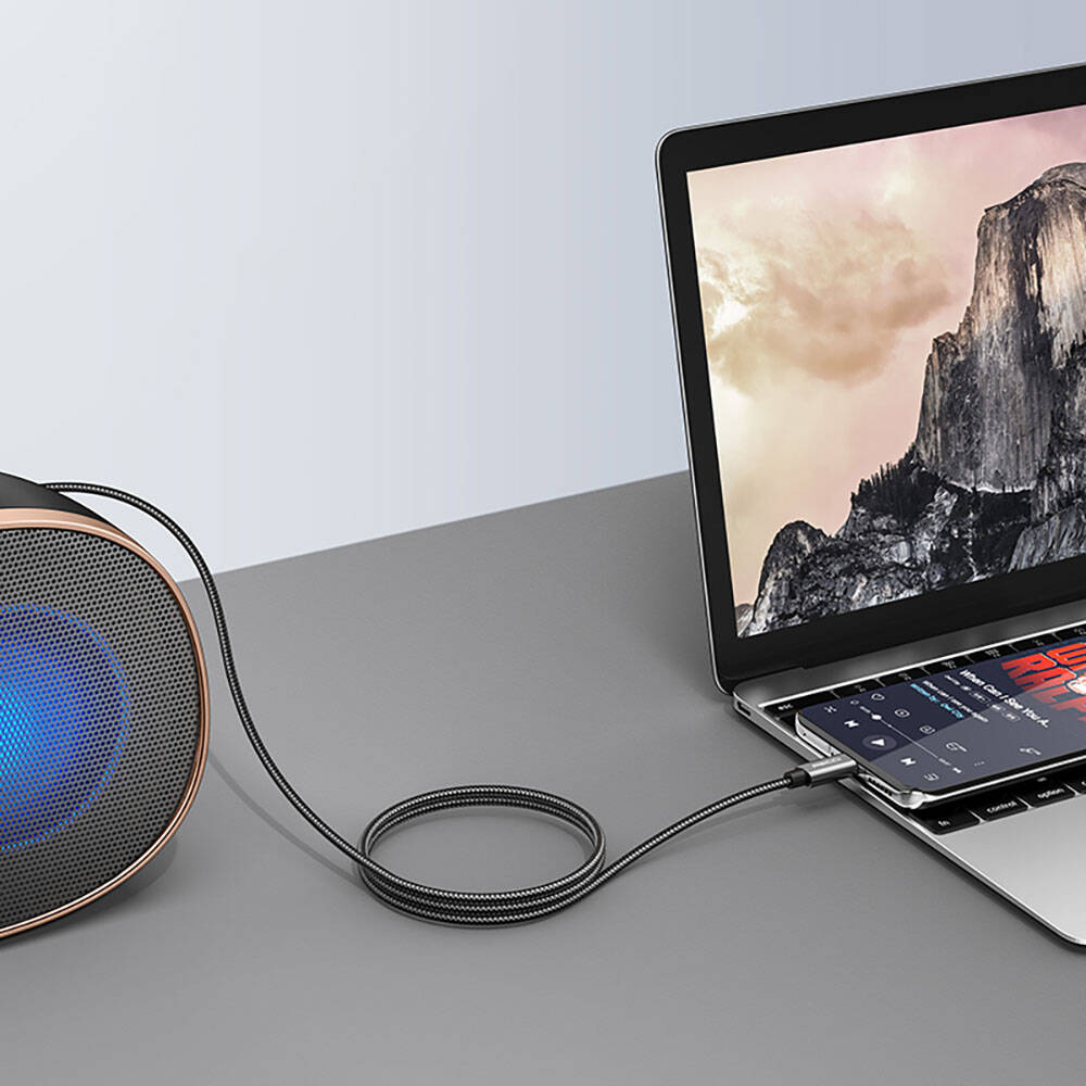 Recci RH03 Type-C to 3.5mm AUX Audio Kablo Siyah