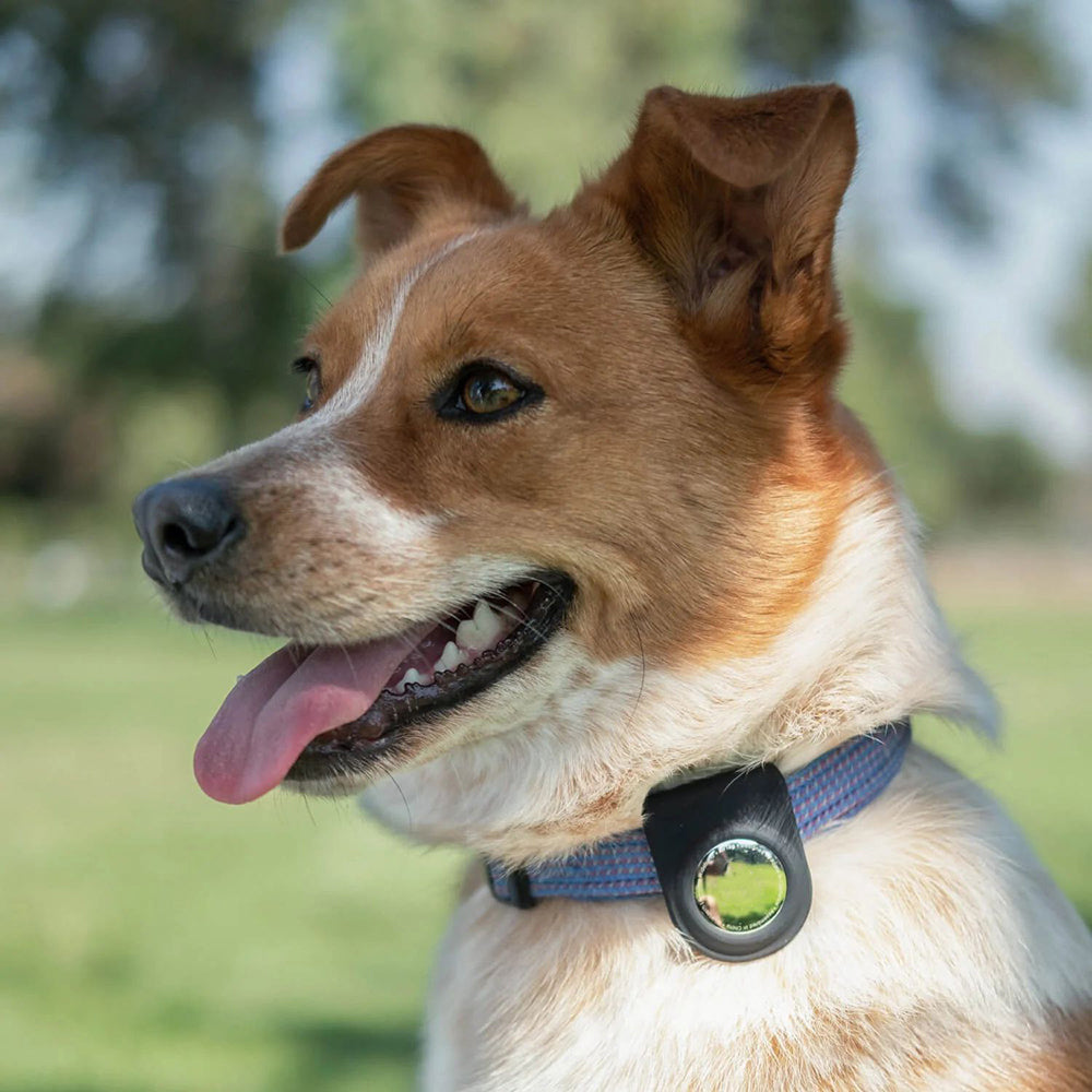 Apple Airtag Raptic Anchor Serisi Klipsli Airtag Kılıfı Siyah