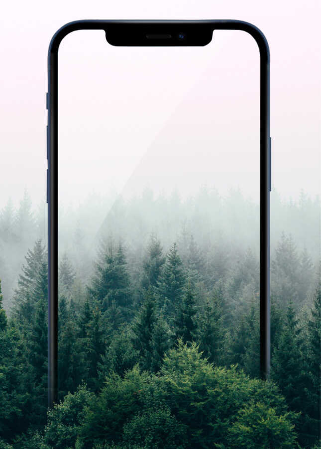 Apple iPhone 16E Wiwu iPrivacy HD Anti-Peep Ekran Koruyucu Siyah